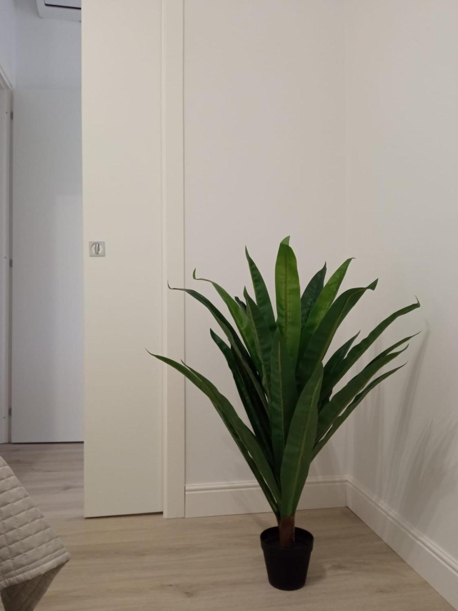La Casa Di Ary Alle Pendici Dell'etna
